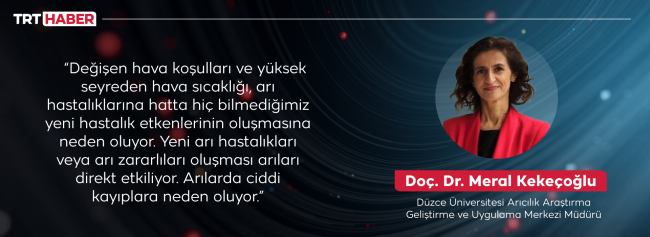 Arılar yalancı bahara aldandı: Bal üretiminde düşüş bekleniyor